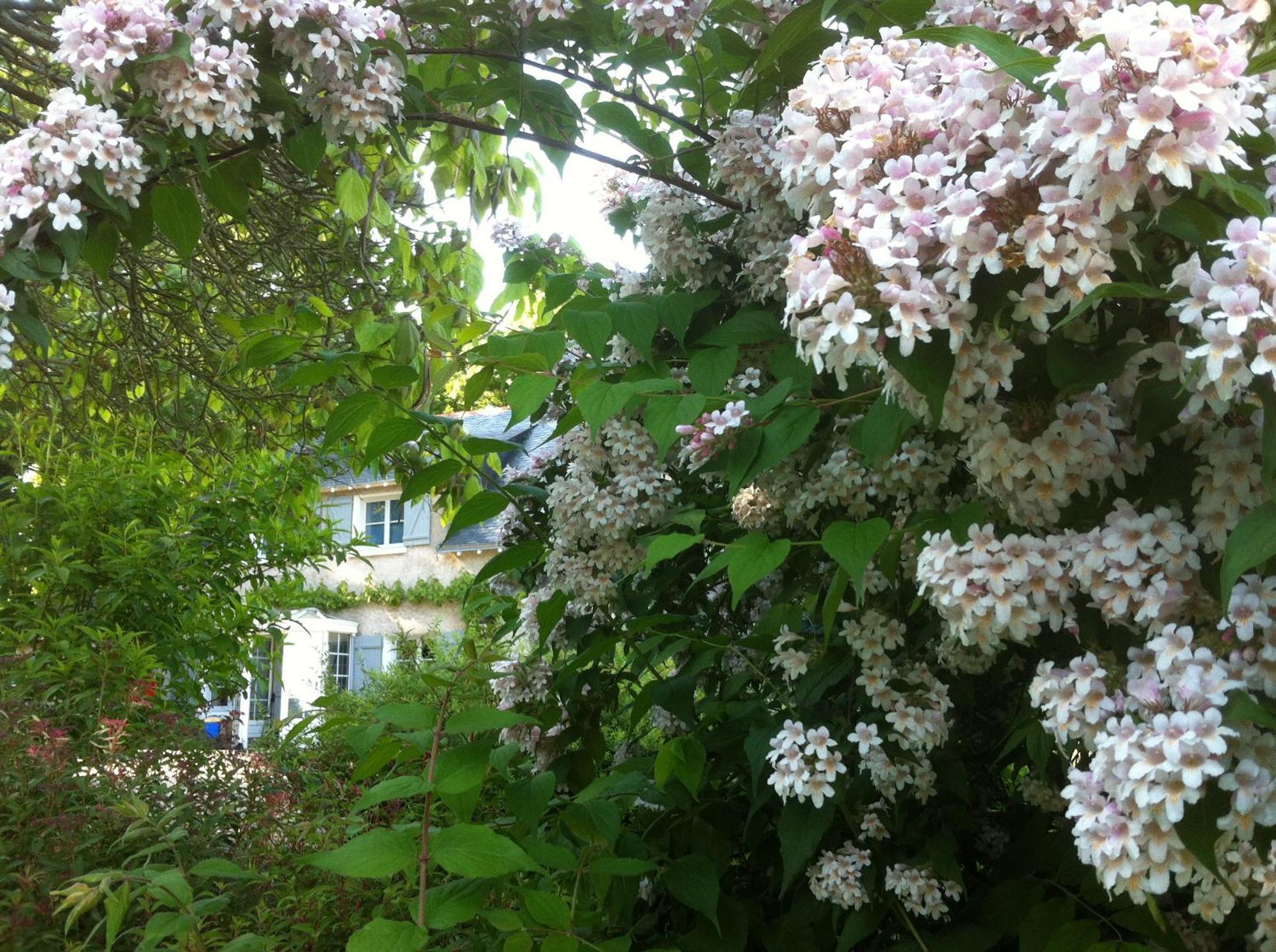 La Butte De Gohier Bed & Breakfast Blaison Exterior foto