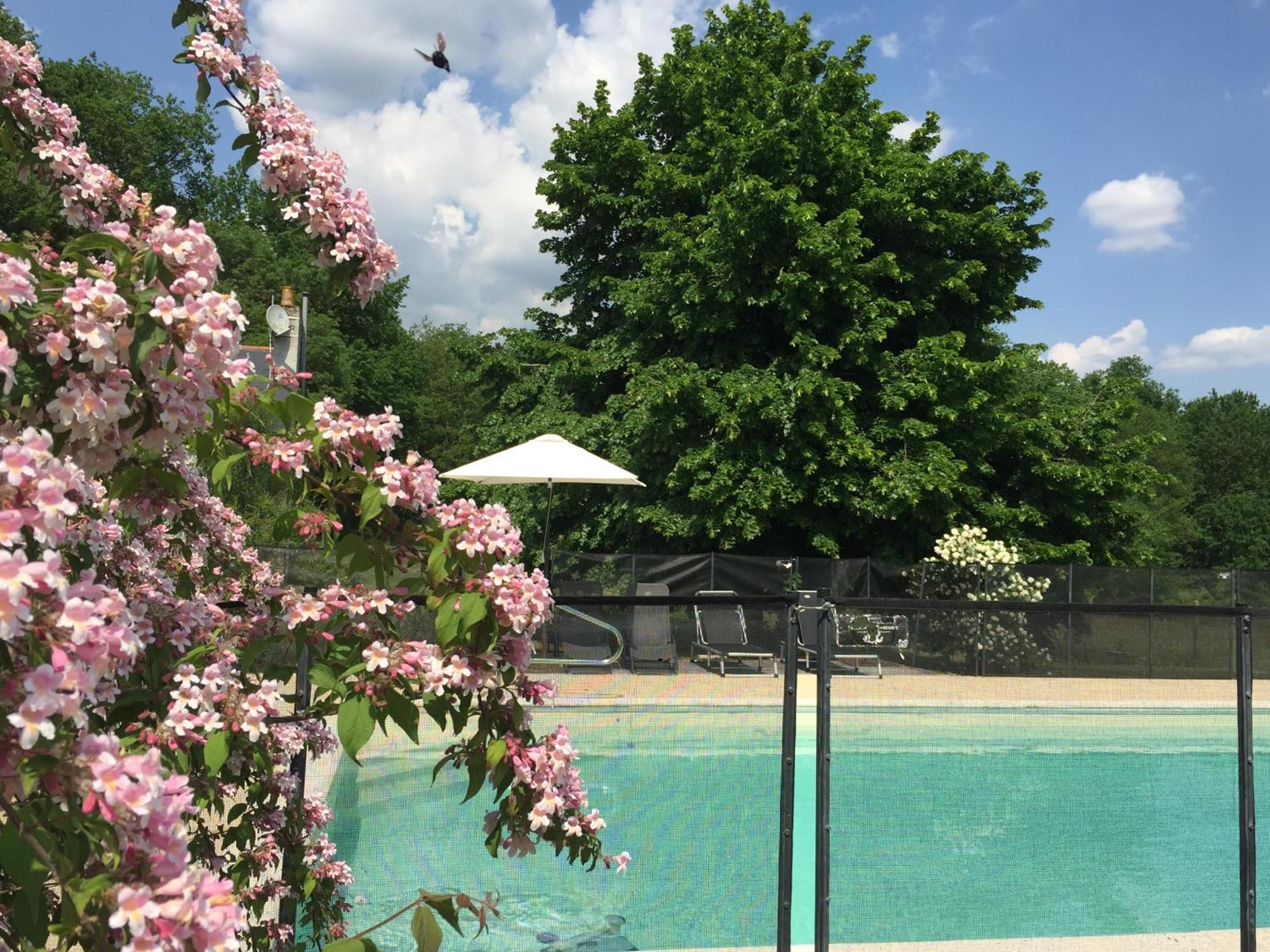 La Butte De Gohier Bed & Breakfast Blaison Exterior foto
